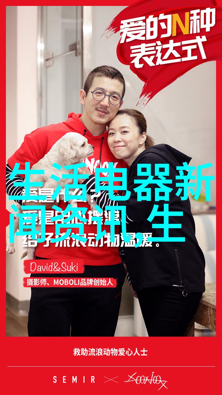 循环水真空泵 防腐双抽 上海科雳 旋片式真空泵旋片