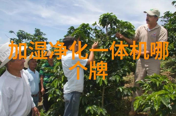 食品专用干法制粒机