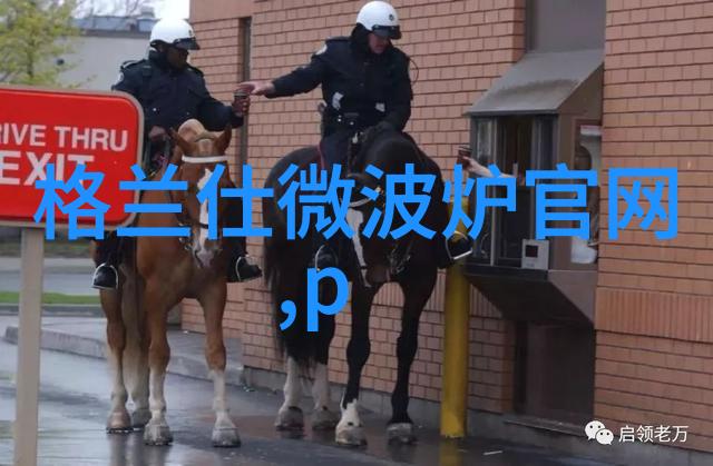 实验室电热鼓风干燥机 鼓风干燥设备